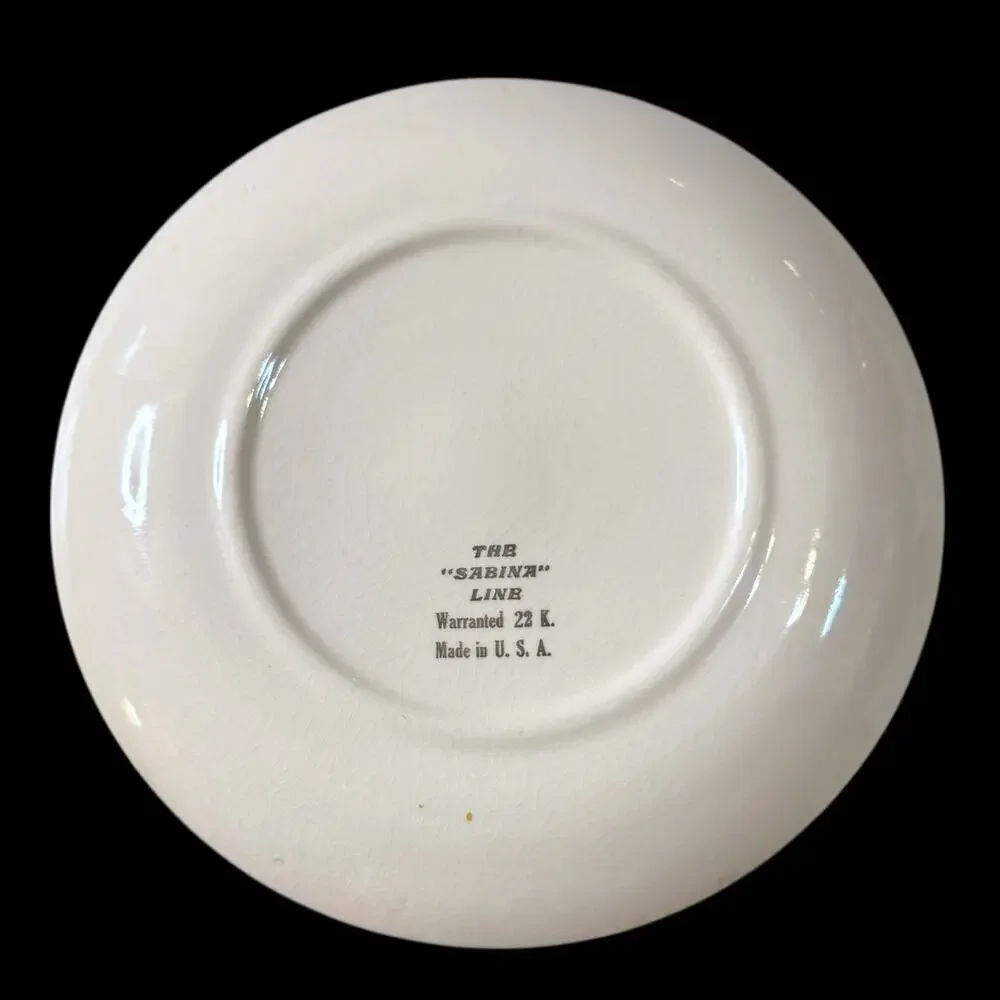 Vintage Texas San Antonio Souvenir Plate 22k Gold Trim The Sabina Line 7.25” 60s